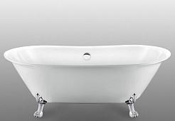 Фэма Акриловая ванна "Ottavia", ножки хром, покрытие RAL матовое – фотография-4
