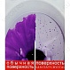 Sanita Luxe Унитаз-компакт Best Color Red 437051 с микролифтом – фотография-14