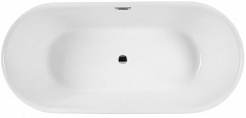 Aquanet Акриловая ванна Delight 170x78 – фотография-1