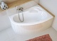 Excellent Акриловая ванна Laguna 160x105 правая – картинка-7