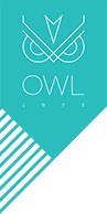 Owl 1975