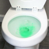 Засор в унитазе! Как прочистить засор унитаза в домашних условиях?