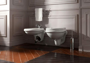 Выбор системы инсталляции для биде