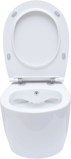 Allen Brau Чаша подвесного унитаза Fantasy 4.11HC1.20 белый глянец – картинка-33