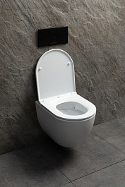 Allen Brau Унитаз подвесной Priority 4.31008.20 белый глянец с крышкой 4.31010.20 – фотография-12