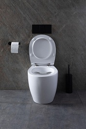 Allen Brau Чаша приставного унитаза Fantasy 4.11007.20 белый глянец – фотография-34