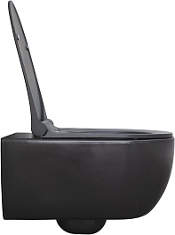 Allen Brau Унитаз подвесной Priority 4.31001.AN антрацит с крышкой 4.31004.AN – фотография-2
