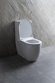 Allen Brau Унитаз напольный Priority 4.31003.20 белый – фотография-18