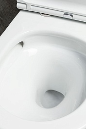 Allen Brau Унитаз подвесной Priority 4.31008.20 белый глянец с крышкой 4.31010.20 – фотография-7