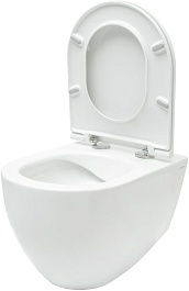 Allen Brau Унитаз подвесной Reality 4.32006.20 белый глянец с крышкой 4.32007.20 – фотография-8