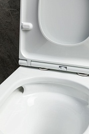 Allen Brau Чаша напольного унитаза Priority Tornado 4.31006.20 белый глянец – фотография-4