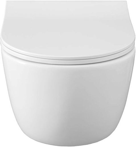 Allen Brau Чаша подвесного унитаза Priority 4.31001.20 белый глянец – фотография-14