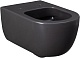 Allen Brau Чаша подвесного унитаза Priority 4.31001.AN антрацит – картинка-29