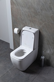 Allen Brau Унитаз напольный Infinity 4.21001.20 белый глянец – фотография-10