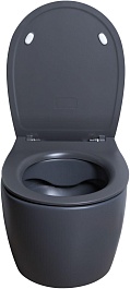 Allen Brau Унитаз подвесной Fantasy 4.11004.AN антрацит с крышкой 4.11005.AN – фотография-7