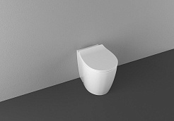 Allen Brau Унитаз приставной Fantasy 4.11007.20 белый глянец – фотография-37