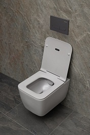 Allen Brau Унитаз подвесной Liberty 4.33007.AN антрацит с крышкой 4.33008.AN – фотография-13