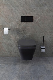 Allen Brau Чаша подвесного унитаза Infinity 4.21011.AN антрацит – фотография-27