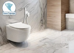 Ceruttispa Унитаз подвесной Clio Aria Tornado CT10582 белый – фотография-2