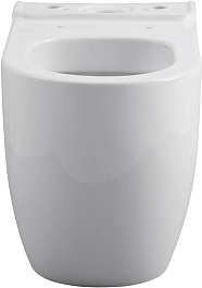 Allen Brau Унитаз напольный Priority 4.31003.20 белый – фотография-2