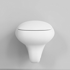 Ambassador Сиденье для унитаза Diamond белое матовое – фотография-6