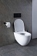 Allen Brau Унитаз с инсталляцией Reality 4.32006.20/8.9466.0.000.000.1 белый глянец – картинка-42