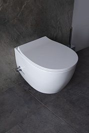 Allen Brau Чаша подвесного унитаза Fantasy 4.11HC1.20 белый глянец – фотография-14