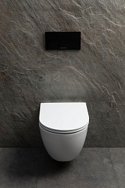 Allen Brau Унитаз подвесной Priority 4.31008.20 белый глянец с крышкой 4.31010.20 – фотография-11