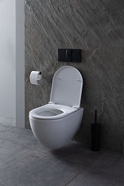 Allen Brau Унитаз подвесной Reality 4.32006.20 белый глянец с крышкой 4.32007.20 – фотография-7