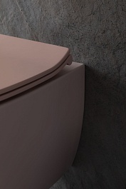 Allen Brau Унитаз подвесной Fantasy 4.11004.SM розовый с крышкой 4.11005.SM – фотография-11