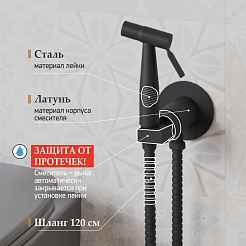 Paini Смеситель для биде с гигиеническим душем Castello CAYO442R встраиваемый, черный – фотография-2