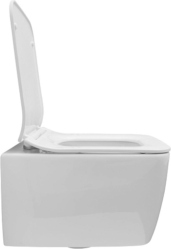 Allen Brau Унитаз подвесной Liberty 4.33007.20 белый с крышкой 4.33008.20 – картинка-9