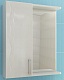 Vigo Мебель для ванной Atlantic 2-60 L с б/к, свет – картинка-11