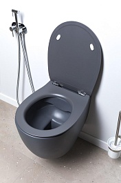 Allen Brau Чаша подвесного унитаза Fantasy 4.11004.AN антрацит – фотография-15