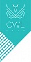 Owl 1975