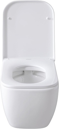 Allen Brau Чаша подвесного унитаза Infinity 4.21004.20 белый глянец – фотография-18