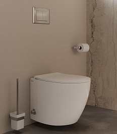 Allen Brau Унитаз подвесной Fantasy 4.11HC1.20 белый глянец с крышкой 4.11005.20 – фотография-17