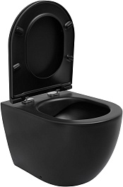 Allen Brau Чаша приставного унитаза Fantasy 4.32004.31 чёрный матовый – фотография-3