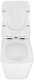Azario Унитаз подвесной AZ-101C импульсный безободковый с инсталляцией белый – фотография-28