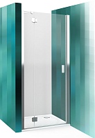 Roltechnik Душевая дверь в нишу HBN1/1100 распашная
