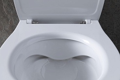 Allen Brau Чаша приставного унитаза Fantasy 4.11007.20 белый глянец – фотография-23