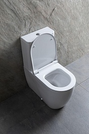 Allen Brau Унитаз напольный Priority 4.31003.20 белый – фотография-20