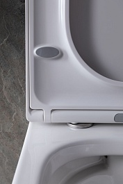 Allen Brau Унитаз подвесной Infinity 4.21004.20 белый глянец с крышкой 4.21010.20 – фотография-12