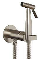 Paini Смеситель для биде с гигиеническим душем Castello CAPW442R встраиваемый, брашированный никель