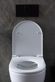 Allen Brau Унитаз с инсталляцией Reality 4.32006.20/8.9466.0.000.000.1 белый глянец – фотография-7