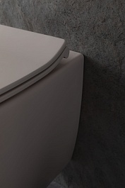 Allen Brau Чаша подвесного унитаза Fantasy 4.11004.IV айвори – фотография-8