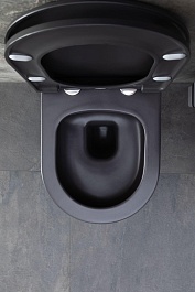 Allen Brau Унитаз подвесной Priority 4.31002.AN антрацит с крышкой 4.31004.AN – фотография-19