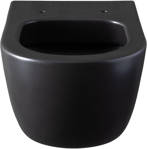 Allen Brau Чаша подвесного унитаза Priority 4.31001.31 чёрный матовый – картинка-3