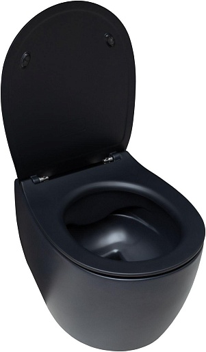 Allen Brau Чаша подвесного унитаза Fantasy 4.11004.31 чёрный матовый – фотография-4