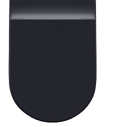 Allen Brau Унитаз напольный Fantasy 4.32004.AN антрацит – фотография-2